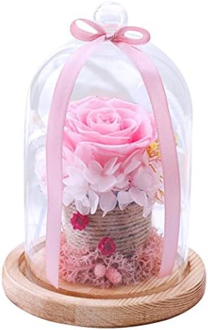 DIKEWANG Newest RomanticValentine's Day Birthday Gift for Lovers, Mother, Girlfriend Endless Never Withered Preserved Roses Flower In Glass (Pink)