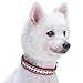 Blueberry Pet 7 Colors Soft & Safe 3M Reflective Jacquard Neoprene Padded Adjustable Dog Collar with Metal Buckle – Marsala Red, Neck 13-16.5″, for Medium Breedthumb 2