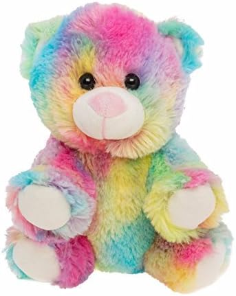 BEARegards.com Personal Recordable Talking Teddy Bear/Baby Heartbeat 8" Rainbow Teddy Bear with 20 sec Digital Recorder