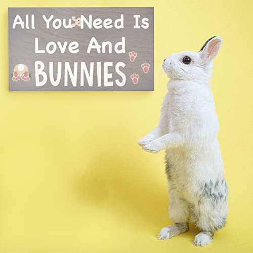 JennyGems Bunny Gifts, All You Need Is Love and Bunnies Wooden Sign, Gift for Bunny Owner, Shelf