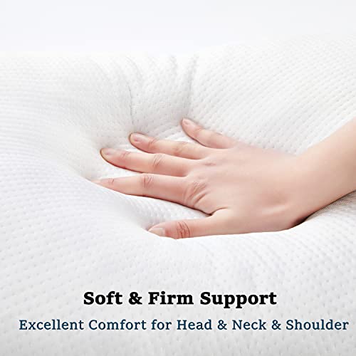 LOVTEX Shredded Memory Foam Pillow,Queen Size Bed Pillows for Sleeping