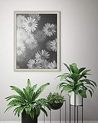 MCS Studio Gallery Frame, Gray Woodgrain, 18 x 24