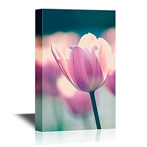 Closeup of Pink Tulip Petal