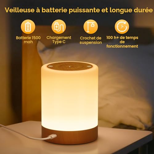 NIWOHOM 2 x Touch Bedside Lamp, Dimmable Wireless Rechargeable Lamp with 5 Modes and 256 RGB Colors, Warm Adult Night Light with Timer for Bedroom, Living Room, Camping