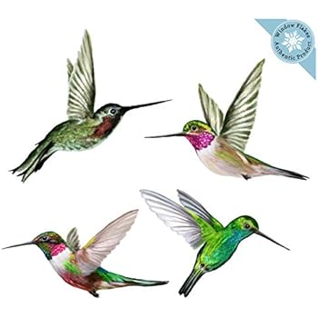 Anti-Collision Window Clings/Decals to Prevent Bird Strikes on Window Glass - Set of 4 Hummingbird Window Clings