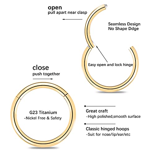 6 Pcs G23 Titanium Body Piercing Rings Hoop 16g 18g Ear Lip Septum Nose Ring Body Piercing Jewelry for Women Men Girls, Gold/Rose Gold/Silver/Black/Blue/Rainbow (18 Gauge, 8mm)