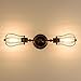 Vintage Wall Lamp Adjustable Industrial Rustic Wire Cage Wall Light Retro Style Indoor Lighting Fixture ;Moonkist (with 2 Light) (Oil Rubbed Bronze)