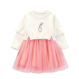 Baby Girls Clothes Suit Long Sleeve Princess Embroidered Dress Sweater Dress Tulle Cap Tutu Dresses Outfit