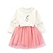 Baby Girls Clothes Suit Long Sleeve Princess Embroidered Dress Sweater Dress Tulle Cap Tutu Dresses Outfit