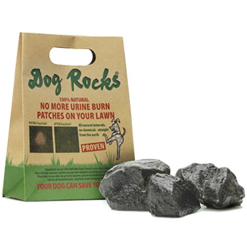 Dog Rocks â€“ All Natural Grass Burn Solution for Dogs Prevents Lawn Urine Stains - 600 Gram Box (1 Pack)