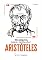 Livro Coleção Saberes - 100 minutos para entender Aristóteles