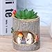 TINKSKY Cute Hedgehog Flower Sedum Succulent Pot Planter Bonsai Trough Box Plant Bed Office Home Garden Pot Decoration