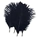 Shekyeon Black 10-12inch 25-30cm Ostrich Feather Home Decoration DIY Craft Pack of 10 primary