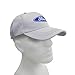 Ford Oval Logo Light Gray Baseball Cap, Black, One Size Fits Most