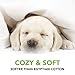 Cosy House Collection Premium Rayon Derived from Bamboo Pillowcase Set of 2 - Ultra Soft, Cooling & Breathable Bedding (Standard/Queen, White)