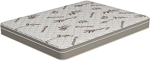 Parklane Mattresses "The Journey" Queen RV Mattress - 60" x 79"