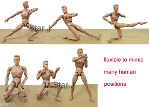 Human Drawing Model Anatomy Body Muscle Art Figure Display Craft Sculpture 12"