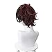 Demon Slayer Kimetsu no Yaiba Tanjiro Kamado Cosplay Wig Cosplay Costume Hair Red