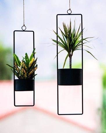 Truphe Decor Worthy Hanging Metal Planters | Small Balcony Fancy Pots | Single Flower Planters | Rust Free & Powder Coated | Made in India | Black Mini Metal planters (Set of 2)