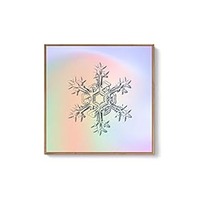 Framed Canvas Wall Art for Living Room, Bedroom Snowflake Theme Canvas Prints for Home Decoration Ready to Hang - 16x16 inches