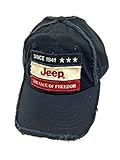 Jeep Weathered Face of Freedom Cap
