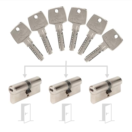 Bricard 17308 Pack de Cylindres SEntrouvrant Lock Cylinder, Silver