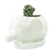 GeLive Elephant White Ceramic Succulent Planter Flower Pot Window Box with Saucer (Baby Elephant)