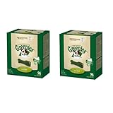 castor and pollux dental chews