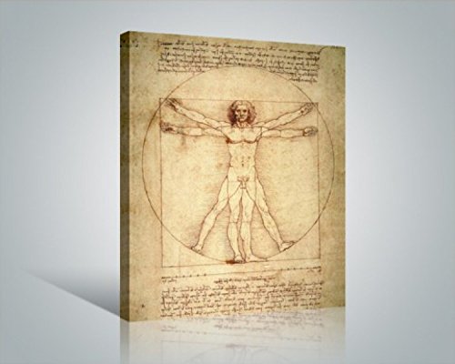 Cuadros leonardo da vinci 3 Cuadros leonardo da vinci