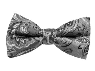 THE TIE BAR 100% WOVEN SILK PLATINUM PAISLEY SELF-TIE BOW TIE