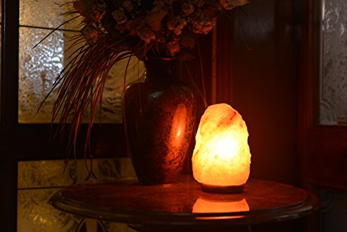 How Change Bulb Hemingweigh Natural Himalayan Rock Salt Lamp: Easy Steps Revealed