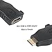 BENFEI 2 Pack Mini HDMI to HDMI Adapter Compatible for Raspberry Pi, Camera, Camcorder, DSLR, Tablet, Video Card