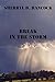 Break In The Storm (WeHo Book 2)
