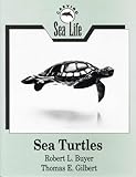 Sea Turtles (Carving Sea Life) by 
