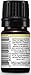 Plant Therapy Jasmine Absolute Essential Oil 100% Pure, Undiluted, Natural Aromatherapy, Therapeutic Grade 5 mL (1/6 oz)