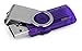 Kingston Digital 32GB DataTraveler 101 G2 USB 2.0 Drive - Purple (DT101G2/32GBZ)
