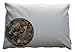 Beans72 Organic Buckwheat Pillow - King Size (20 inches x 36 inches) Made in USA
