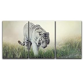 3 Panel Canvas Wall Art - White Tiger Wading in The Water - Giclee Print Gallery Wrap Modern Home Art Ready to Hang - 16"x24" x 3 Panels