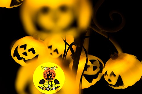 Grape Pet Store Halloween Decoration Light 3D Solar Powered 10 LEDs Pumpkin light Warm Light (3D Pumpkin 10 LEDS-Solar Powered)