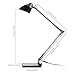 TaoTronics Metal Desk Lamp LED Flexible Arm, Rotatable Head, Eye-Friendly Design, Black Plastic + Silver Aluminum Alloy Finish, 6W