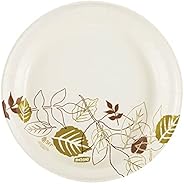 Dixie 9” Medium-Weight Paper Plates by GP PRO (Georgia-Pacific), Pathways, UX9WS, 500 Count (125 Plates Per Pa