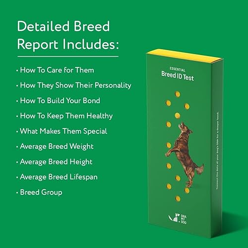 Dna My Dog Essential Test Breed ID Test Mixed Breed Identification