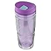 Bubba Envy Double Wall Insulated Straw Tumbler, 24 oz, Purple/Blue