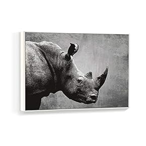 Framed Canvas Wall Art for Living Room, Bedroom Black and White Animal Canvas Prints for Home Decoration Ready to Hanging - 16x24 inches