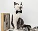 ZTON Handcrafted Adjustable Formal Pet Bowtie Collar Neck Tie for Dogs & Cats (S, Black)