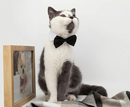 ZTON Handcrafted Adjustable Formal Pet Bowtie Collar Neck Tie for Dogs & Cats (S, Black)