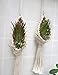 Mkono 2 Pcs Mini Macrame Plant Hanger Nest Air Plant Holder Boho Wall Hanging Planter Modern Indoor Home Decor for Succulent, Tillandsia, Crystal, Wall Decorations