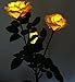 Solar Yellow Rose Flower Lights, Solar Powered Garden Outdoor Decorative Landscape LED Rose Lights Year-Round, Great Gift