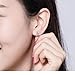 Presentski Unicorn CZ Stud Earrings 925 Sterling Silver Love Heart Cute Animal Hypoallergenic Piercing Earrings Studs for Kids Girls Women