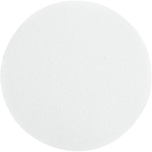 Ahlstrom 1510-0550 Borosilicate Glass Microfiber Filter Paper, 0.7 Micron, Slow Flow, Grade 151, 5.5cm Diameter (Box of 100)